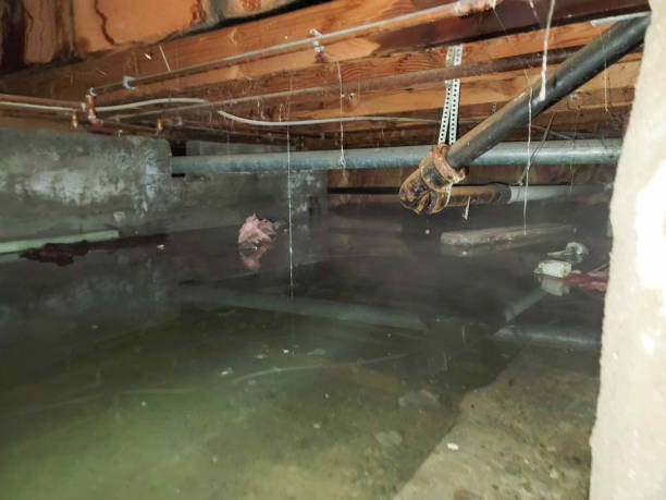 Best Commercial water damage restoration  in Kenova, WV