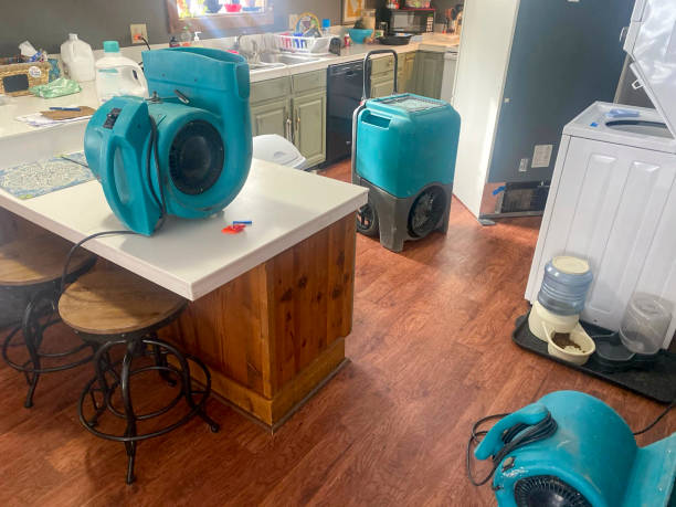 Best Sewage cleanup and water damage restoration  in Kenova, WV