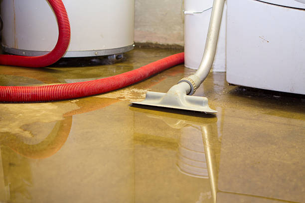 Best Sewage cleanup and water damage restoration  in Kenova, WV