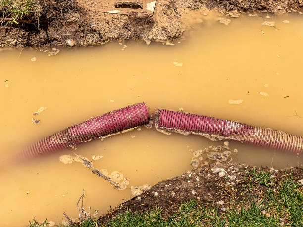 Best Water damage restoration near me  in Kenova, WV