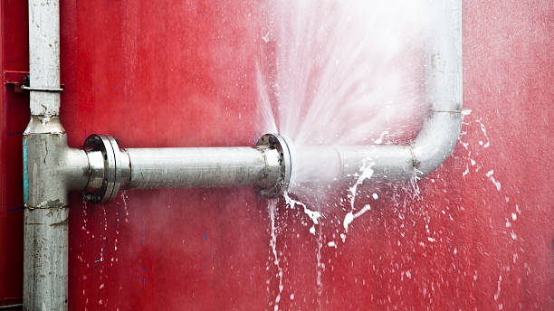 Best Water damage restoration company  in Kenova, WV